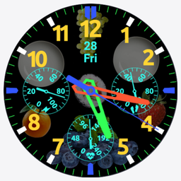PT202 app icon